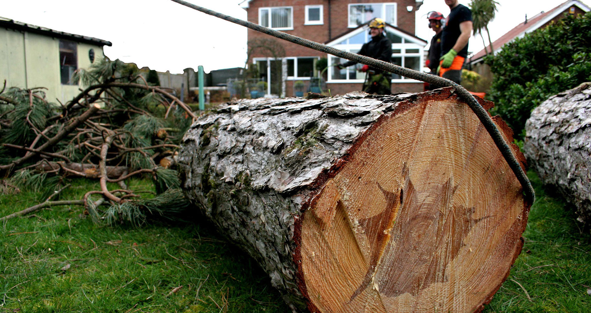 TREE FELLING SERVICES LOWESTOFT SUFFOLK TREE FELLERS LOWESTOFT